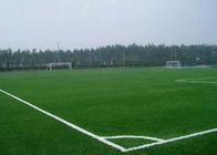 Китай Настил спортивной площадки школы ПЭ + ПП материальный с 60 мм высоты пряжи компания