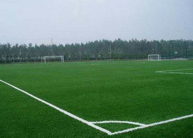 Китай Настил спортивной площадки школы ПЭ + ПП материальный с 60 мм высоты пряжи завод
